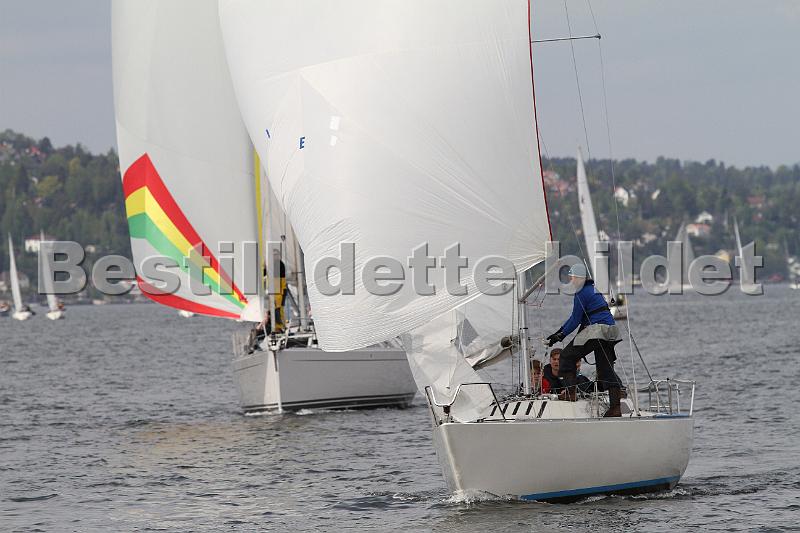 Bundefjorden2012 239.jpg
